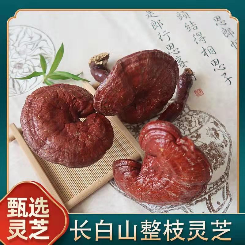 正品 新货长白山紫灵芝半野生灵芝片林芝特产500克批包邮发灵芝个