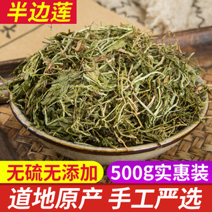 半边莲500g克新鲜干货包邮中药材半边花细米草中药材无硫中草药