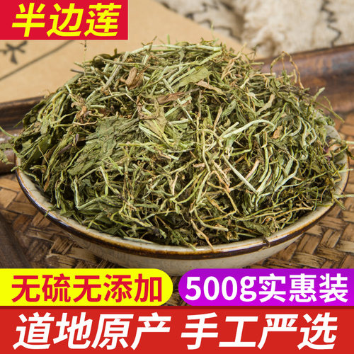 半边莲新鲜无硫中草药包邮