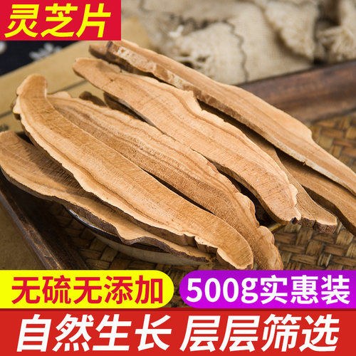 长白山切片赤灵芝500克灵芝片