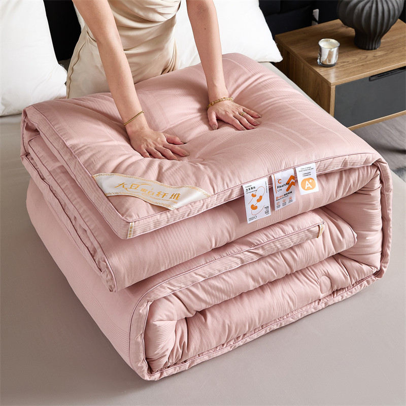 FUANNAJIAJU大豆纤维被子四季被抗菌绗缝被芯6斤大众通用