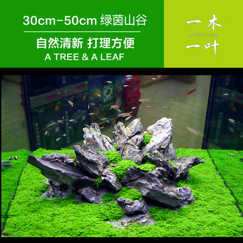 青龙石装饰超白绿茵之地青龙石