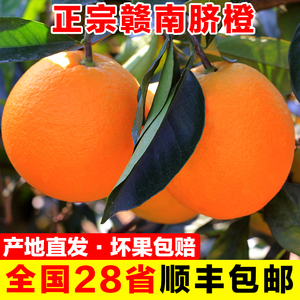 正宗江西赣南脐橙10斤装大果新鲜橙子产地直发甜橙手剥橙顺丰包邮