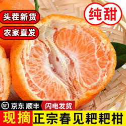 四川春见耙耙柑10斤特级大果现摘春见粑粑柑新鲜应季水果顺丰包邮