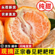 包邮 四川春见耙耙柑10斤特级大果现摘春见粑粑柑新鲜应季 水果顺丰