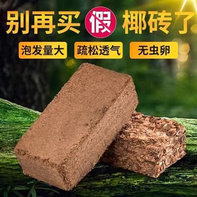 椰砖营养土种菜通用型脱盐椰糠大块耶砖土乌龟冬眠养花土壤种植土