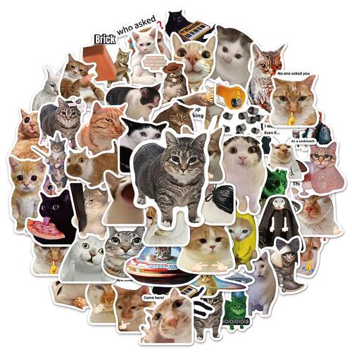 50PCS Creative Network Popular Cat Model Collection Handmade