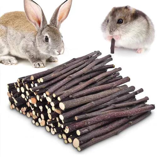 20/40/80/100pcs Hamster Rabbit Teeth Grinding Apple Tree Sti