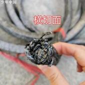 纯石墨线编织盘根耐高温高压密封填料10 60mm耐磨