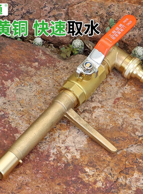 六分铜快速取水阀园林绿化浇水取水器花园地插水龙头接水取水杆
