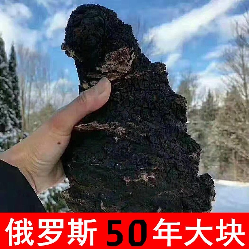 假一赔十.桦树茸黑金大块3高克星