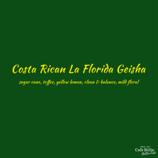 哥斯达黎加瑰夏佛罗里达庄园水洗理新鲜烘焙120G包装BillieCafe