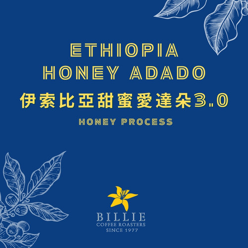 埃塞俄比亚Billie碧利咖啡蜜处理