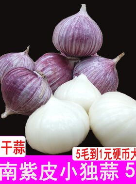 云南新鲜独头蒜现挖现发