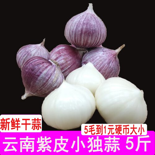云南紫皮独头蒜红蒜珍珠蒜小蒜独蒜土蒜香蒜紫蒜湿蒜厨房佐料5斤 - 封面