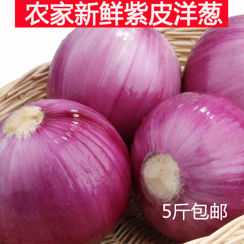 新鲜洋葱红洋葱农家紫皮葱朱葱鬼子葱紫皮洋葱红葱头葱5斤包邮_虎窝淘