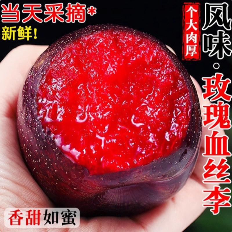 现摘玫瑰大李子当季风味黑布林血丝李黑皮红肉水果甜黑宝石