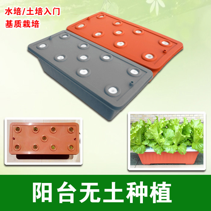 花盆水培种植蔬菜阳台家庭种菜