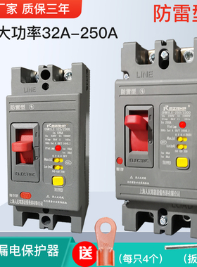 220V漏电断路器2P家用大功率开关63A125A160A250A漏保防雷带指灯