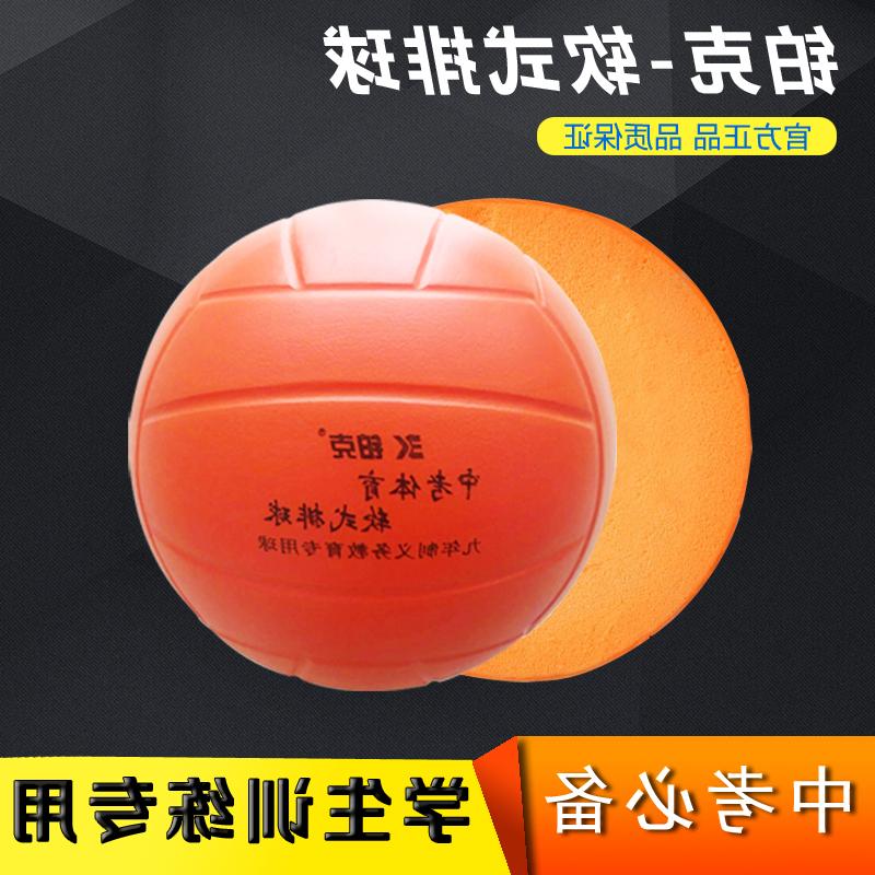 Ballon de volley - Ref 2011293 Image 1