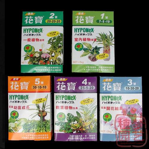 花宝2号价格 花宝2号图片 星期三