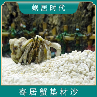 寄居蟹垫材沙菲律宾砂水晶砂贝壳沙三湖慈鲷鱼缸造景底沙纯天然沙