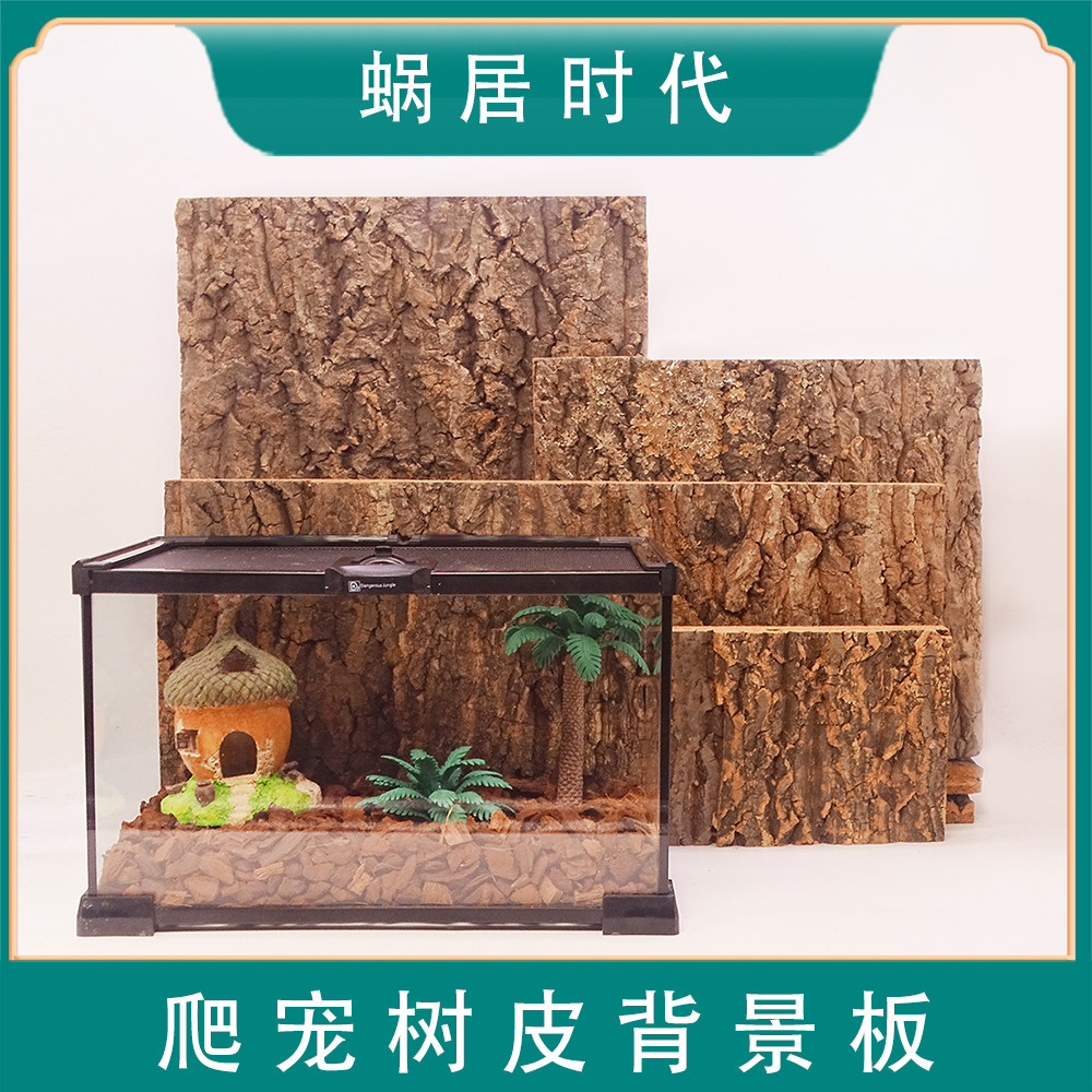 香槟树皮背景板天然树皮爬宠缸雨林缸背景板造景装饰墙原生不发霉