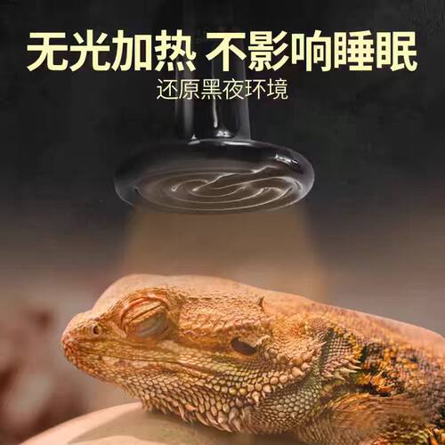 冬季寄居蟹爬宠陶瓷加热灯夜灯UVAUVB方形灯罩爬虫用品乌龟晒背灯