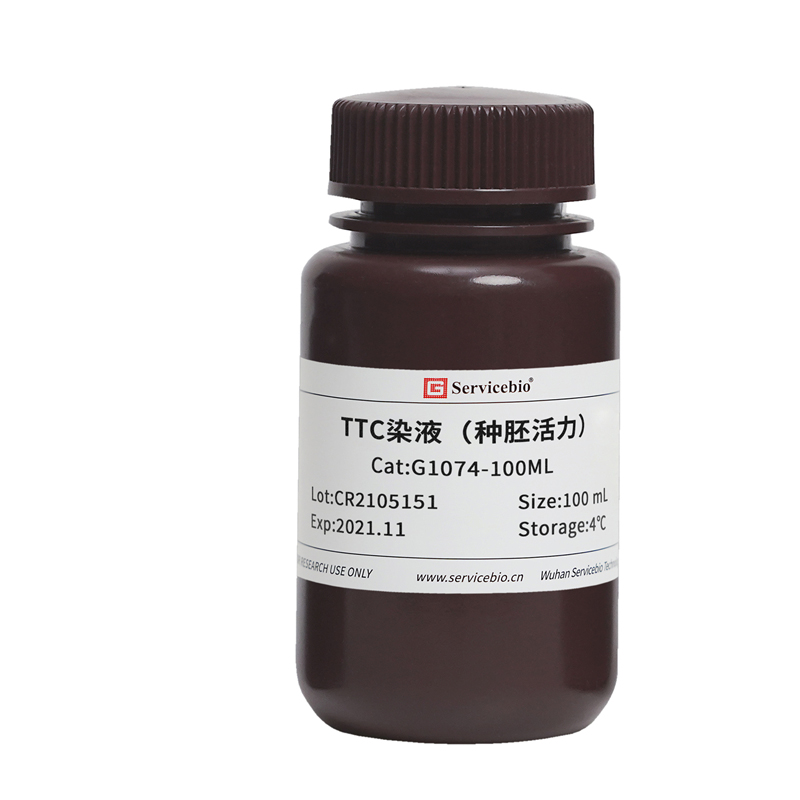 染色液DAB NBT 染色液  植物番红固绿染液 TTC染液 塞维尔