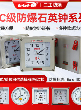 防爆石英钟壁挂式二工防爆