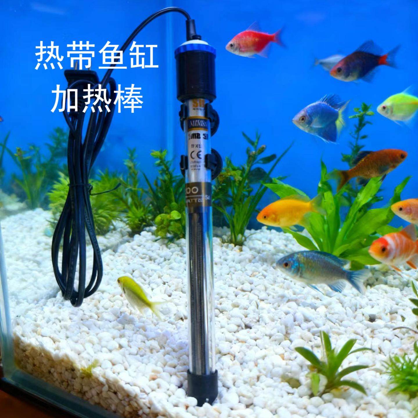 森森鱼缸加热棒水族箱加热器小型加热棒鱼保温设备恒温器防爆自动,宠物/宠物食品及用品,加热/保温设备,淘宝优惠券,粉丝福利购,淘宝优惠卷