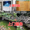 服务鱼池清洗安装 上海大鱼缸上门服务大鱼缸安装 过滤鱼池护理清理