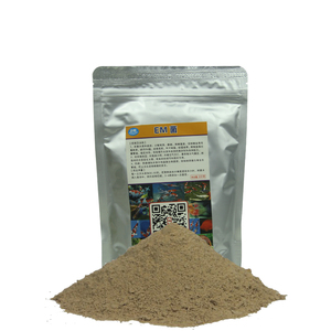 锦鲤鱼池硝化菌水族粉剂净化水观赏鱼过滤器用的硝化菌用品