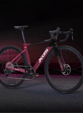 喜德盛25款AD350公路自行车成人油压碟刹桶轴铝合金车架