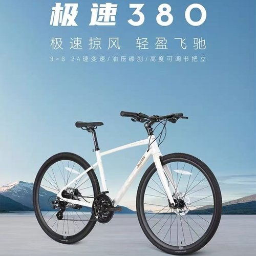 xds喜德盛2025款极速380平把