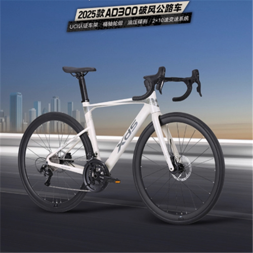 25款喜德盛AD300公路自行车成人油压碟刹桶轴铝合金车架
