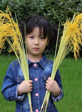 仿真麦穗假稻谷大稻穗塑料干花室内装饰小麦子拍摄道具假水稻摆件