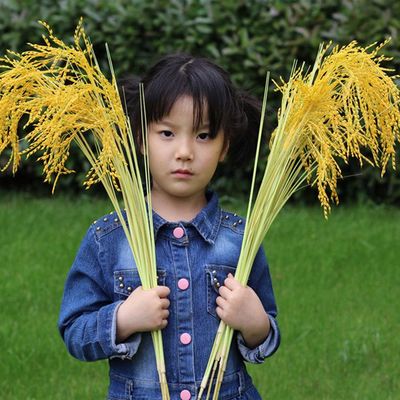 仿真麦穗假稻谷大稻穗塑料干花室内装饰小麦子拍摄道具假水稻摆件