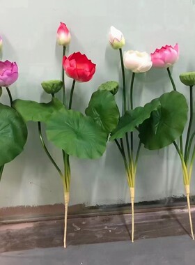 仿真小植物小荷花拍摄道具浮萍仿真小绿植假花草小盆栽莲蓬新款