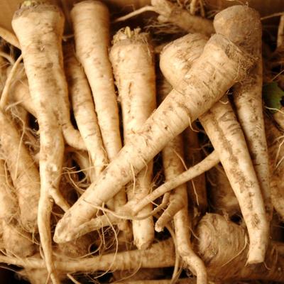 蔓菁1斤农家自种深州蔓菁新鲜现挖现发营养健康河北熬粥甜糯蔓菁