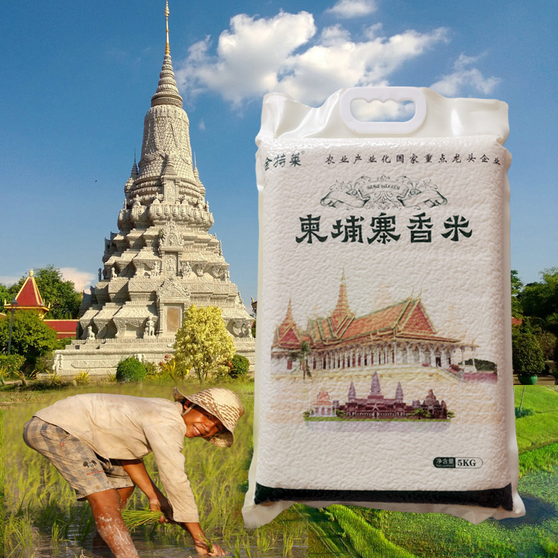 金特莱 柬埔寨香米江西大米24年新米优质籼米原粮进口粳米熬粥5KG,粮油调味/速食/干货/烘焙,大米,淘宝优惠券,粉丝福利购,淘宝优惠卷