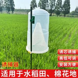 诱捕器二化螟性诱剂草地贪夜蛾棉铃虫稻纵卷叶螟飞蛾信息素诱芯