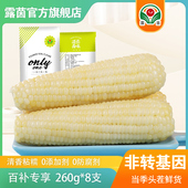 非转基因8根 露茵鲜食甜糯玉米粘糯米玉米棒真空包装 10根 白糯