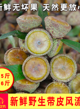 新果】野生风流果500g带皮果广西直发石头果滋补泡酒料厚鳞男补