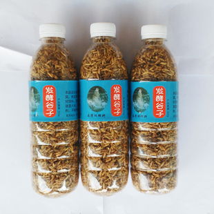 刘眼镜风味臭谷子6大瓶2100克颗粒饵聚鱼久诱鱼快送小药