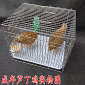 和尚小太阳鹦鹉户外遛鸟旅行笼八哥鹩哥画眉芦丁鸡养殖隔离洗澡笼