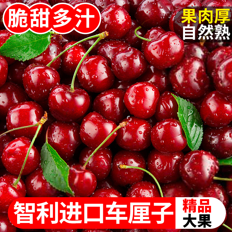 智利进口车厘子5斤新鲜水果3j礼盒特大孕妇进口当季整箱包邮3樱桃