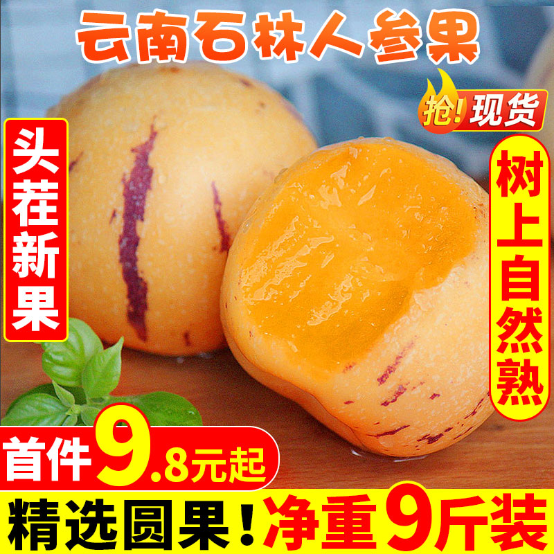 云南石林人参果5斤 圆果水果新鲜大果包邮人叁果人生果当季整箱10