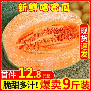 包邮 新疆哈密瓜9斤当季 新鲜水果一整箱 现摘网纹蜜瓜脆甜香瓜西州