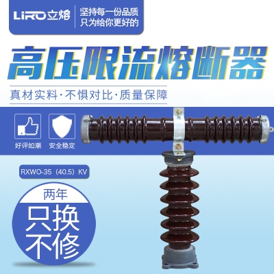 立熔RW10-35KV/0.5ALIRO